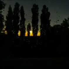 ALEKCION — І я біжу