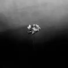 Little Simz — Young