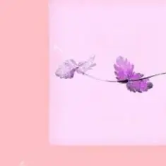 Alina Orlova — Einu