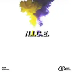 Kevin Schouten — N.I.C.E.