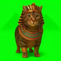 XertXetin — OIIA OIIA EGYPT CAT (Slowed)
