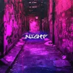 fredbydredd & charonbabymusic — Night