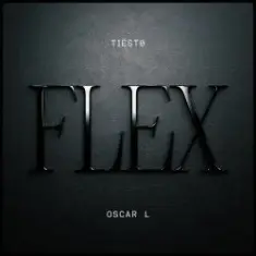 Tiesto & Oscar L — Flex
