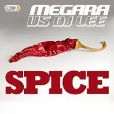 Megara vs. DJ Lee — Spice (Single Edit)