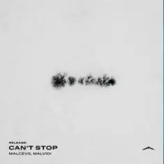 MALCEVS, Hrederik, MALVIDI — Addiction