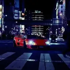 TXDO — NIGHT AND DAY