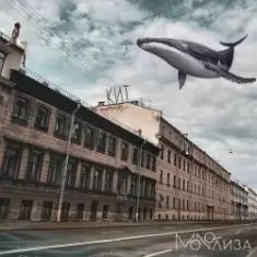 MONOЛИЗА — Алтай