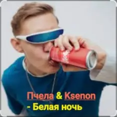 Пчела & Ksenon — Белая ночь
