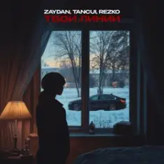 Zaydan, TUSOVKA, REZKO — Не с тобой