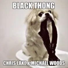 Chris Lake & Michael Woods — Black Thong (Original Mix)