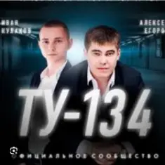 ТУ-134 — Волк