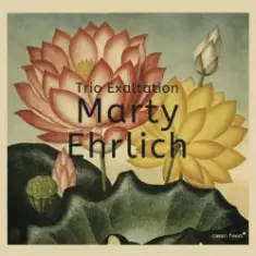 Marty Ehrlich — Stone