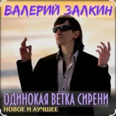 Валерий Залкин — Одинокая ветка сирени