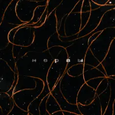 Лучнадежды — Нервы