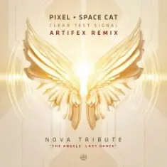 Pixel Vs Space Cat — Clear Test Signal (Astrix Rmx)