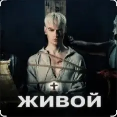 Shaman — Живой