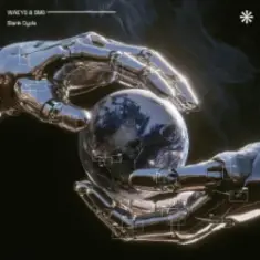 Waeys & SMG — Blank Cycle