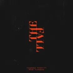 Tommee Profitt & Sam Tinnesz — Daylight