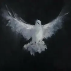 Evo 28 — Funk Spirit