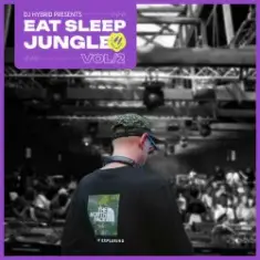 DJ Hybrid — Jungle Man