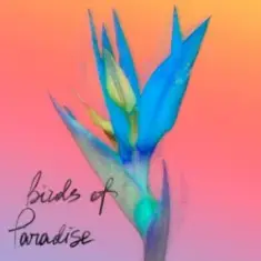 From:Ksusha & Yongue — Birds Of Paradise