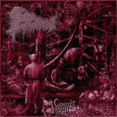 escam — Cranial Cement Injection