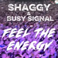 Shaggy & Busy Signal — Feel The Energy