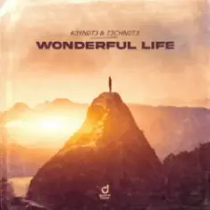 K3YN0T3 & T3CHN0T3 — Wonderful Life