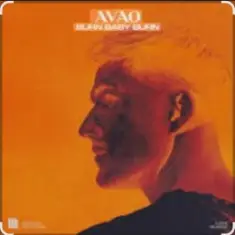 AVAO — Burn Baby Burn (Extended Mix)