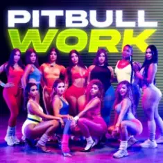 Pitbull — Work