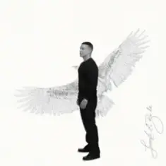 Daddy Yankee — El Toque