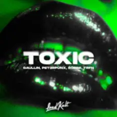 Gaullin & PET3RPUNX & Robbe & TRFN — Toxic