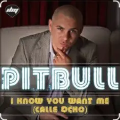 Pitbull — I Know You Want Me