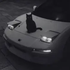 supwel — "not alone" (chill, wave vibe)