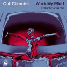 Cut Chemist — Storm
