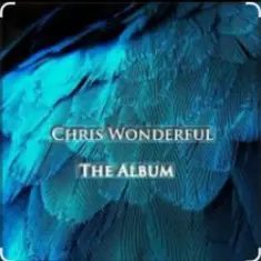 Chris Wonderful — Anisotropic Universe
