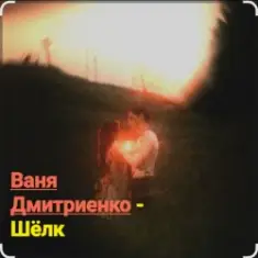 Ваня Дмитриенко — Шёлк