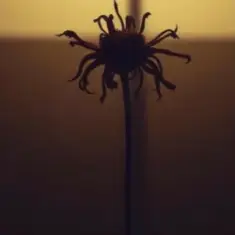 Neytan — Welcome to my mind