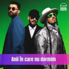 Smiley & Alex Velea & Connect-R. — Anii in care nu dormim (Speak Remix)