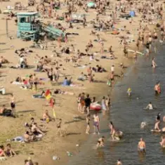 Нікіта Кісельов — Чайка