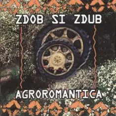 Zdob și Zdub — Tempo