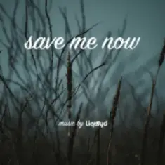 LiQWYD — Save me now