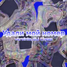 Verointe (prod. DJ Cheaz) — Удали мой номер