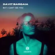 Davit Barqaia — But I Can t See You