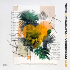 Topic & Mougleta & Vegedream — Albi