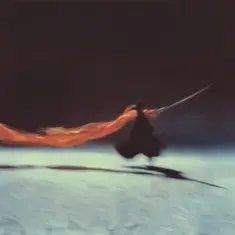 Visages & Alix Perez — Unity