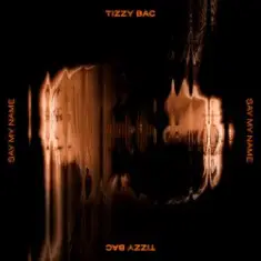 Tizzy Bac — The Thief Can't Be Excited