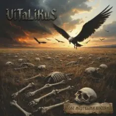ViTaLiKuS — Поле мёртвыми костями