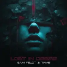 Sam Feldt & TAME — Lost In Desire