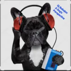 Dj Bobojon — A Dog's Perspective